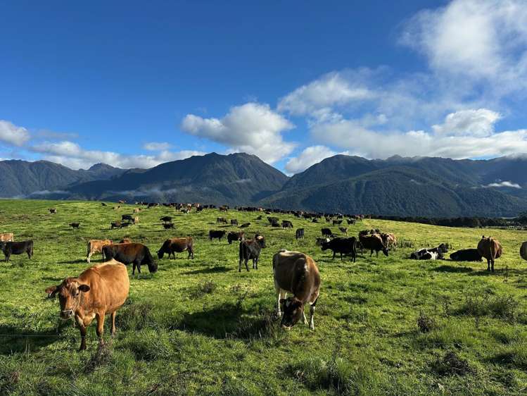 2434 State Highway 65 Maruia_25