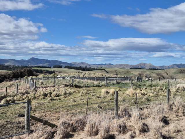 Golden Bar Road Dunback_1