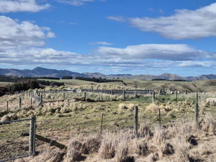 Golden Bar Road Dunback_1