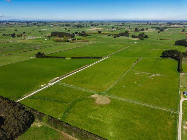Dowling Road Longbush_4