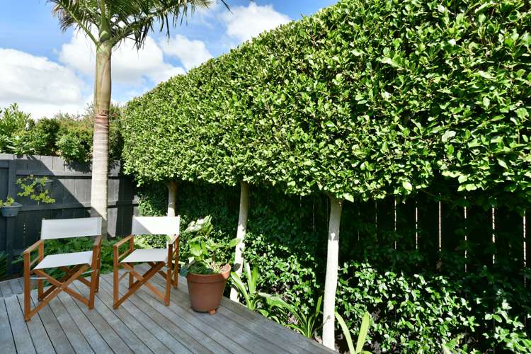 26b Alice Avenue Orewa_10