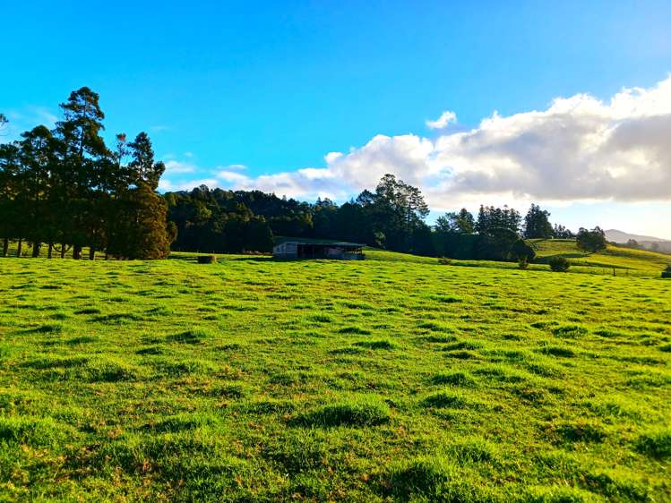 92 Takahue Saddle Road Takahue_34