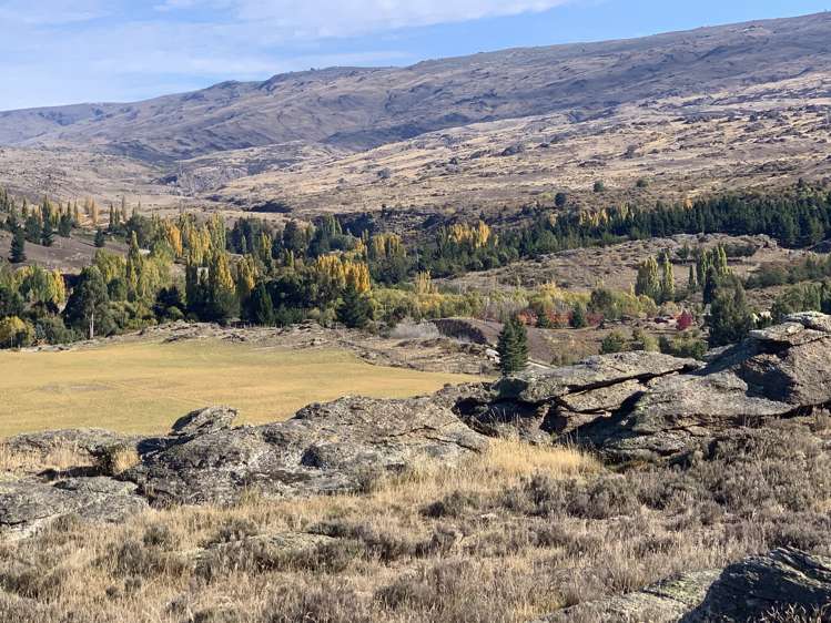 196 Chapman Road Alexandra_20