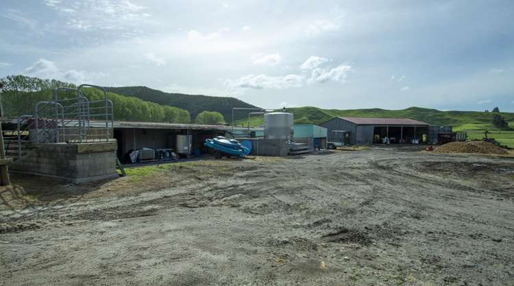 62 Rehi Road Ngakuru_9