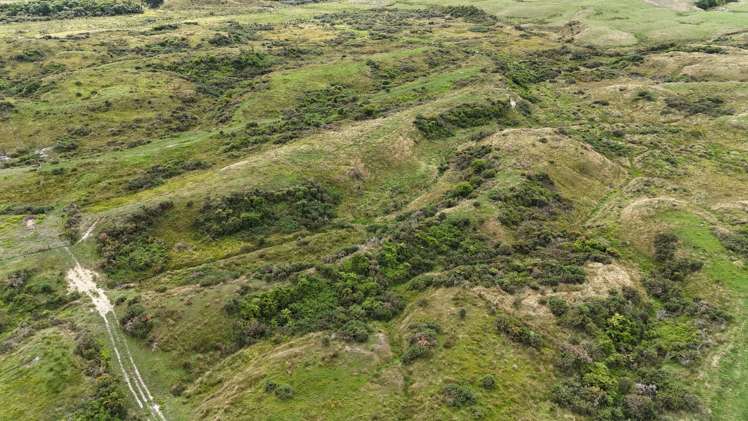 980 Wilsons Lead Road Cape Foulwind_14