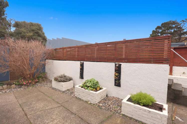 36 Theodore Street Bluff_27