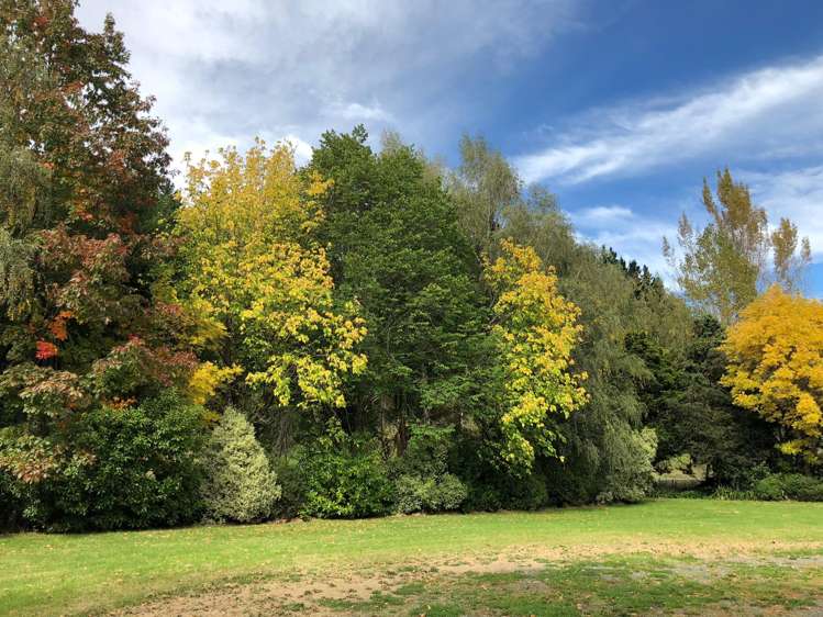 1759 Inland Road Lyford_4