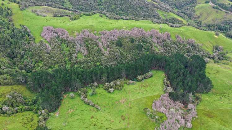 944 Waiti Road Tahuna_3