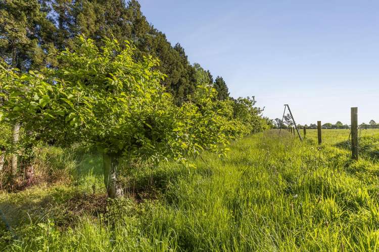 161 Paton Road Hope_22