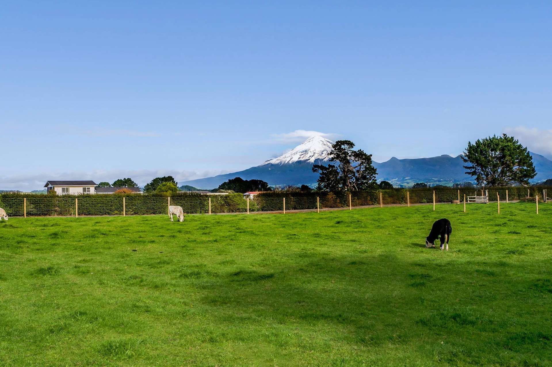 302 Smart Road Hillsborough_0