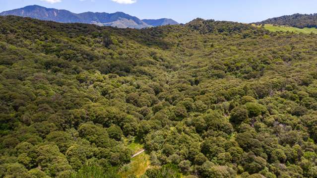 Sec 14-15 Whangape Track Road Broadwood_4