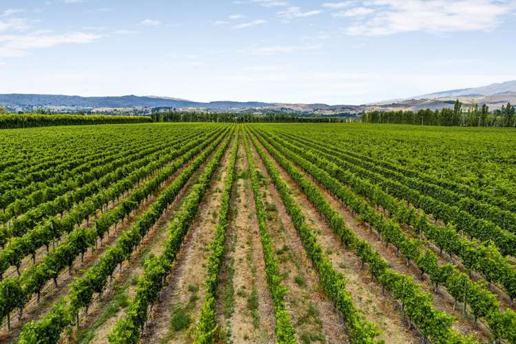 89 McPherson Road, Earnscleugh Alexandra_4