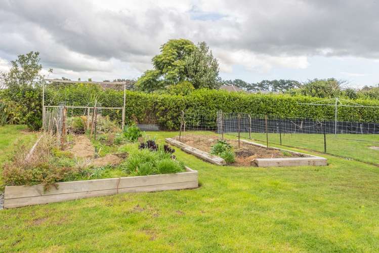 50 Omana Avenue Shelly Beach_10