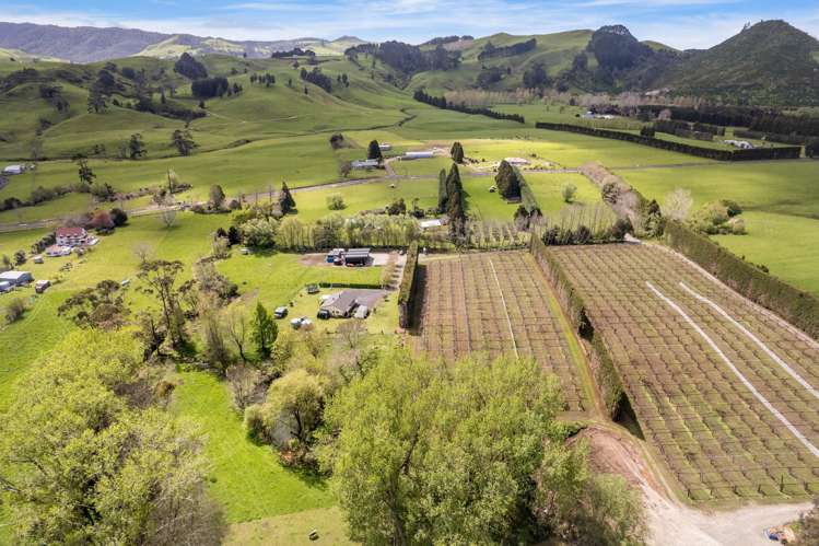 493a Golden Valley Road Waihi_8