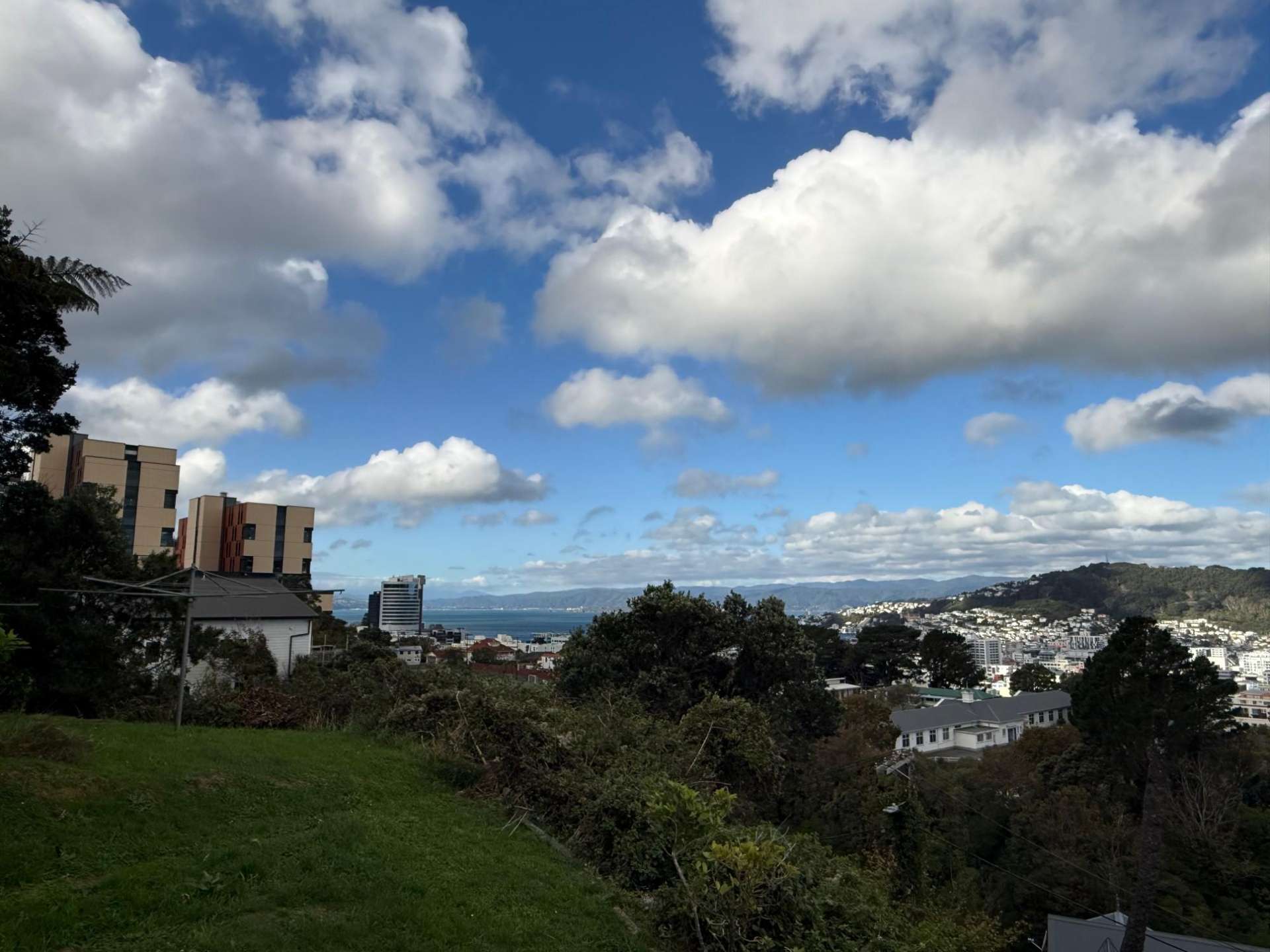  5/58 Fairlie Terrace Kelburn_0