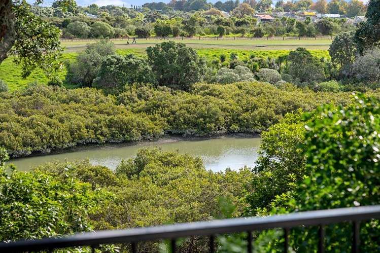 48A Sunny Brae Crescent Westmere_11