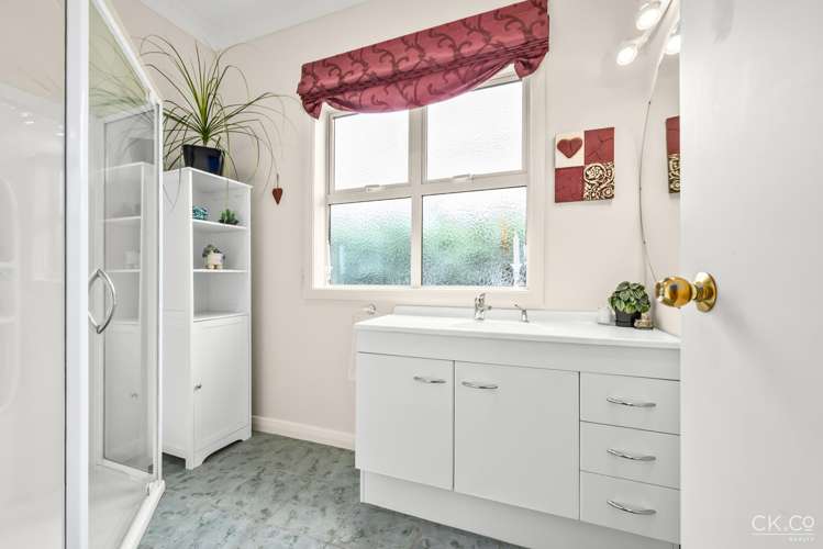 20 Anderson Grove Hutt Central_15