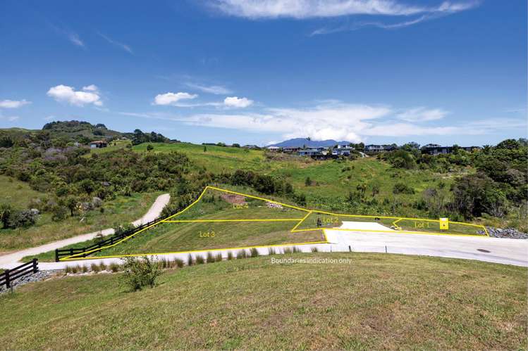 123 Greenslade Road, Waikokowai Lane Raglan_4