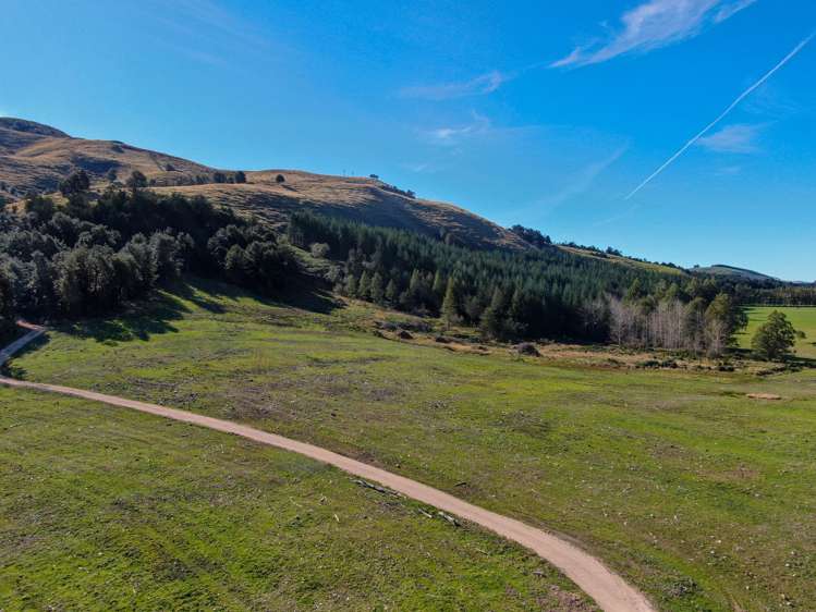 Alford Forest Settlement Road Mount Somers_0