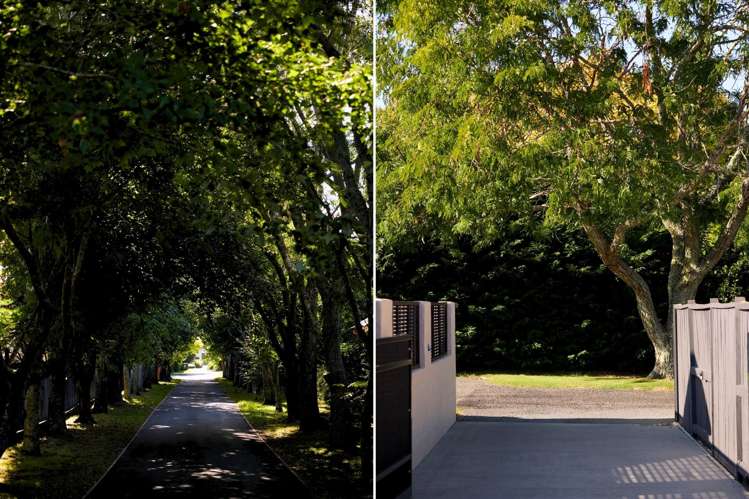 174K Moffat Road Bethlehem_30