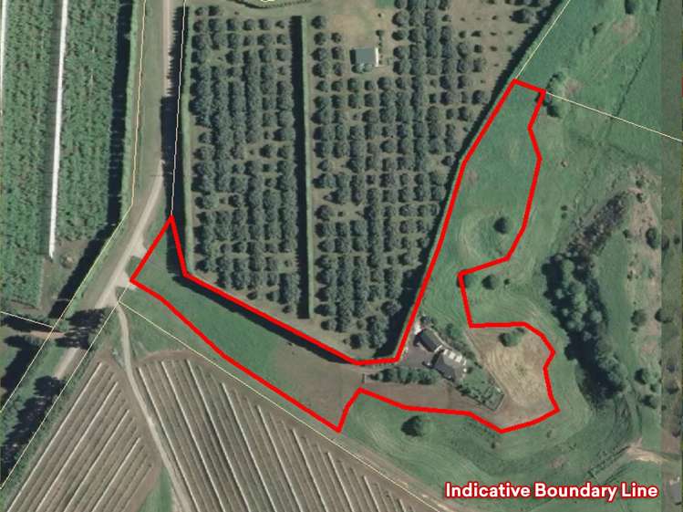 161 Walford Road Aongatete_18