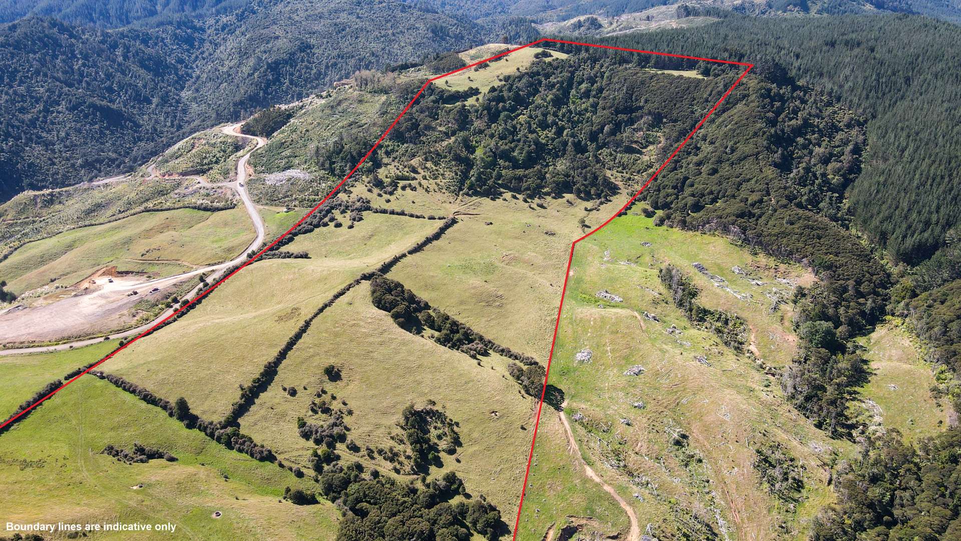 9142 PaeroaKopu Road Matatoki ThamesCoromandel Rural Property