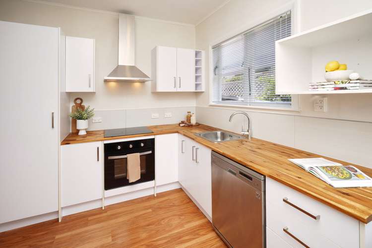 43 Edinburgh Street Spreydon_5