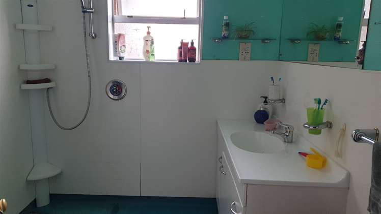 272 Hilton Highway Washdyke_12