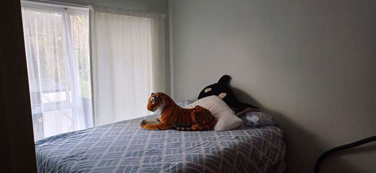 2/132 Atkinson Road Titirangi_4