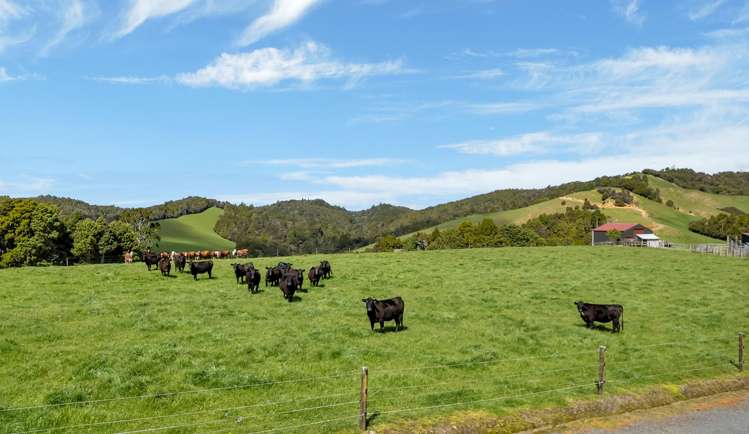 123 Waipipi Road Whananaki_35