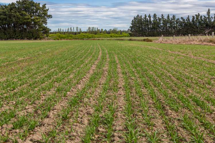 789 Downs Road Hororata_9