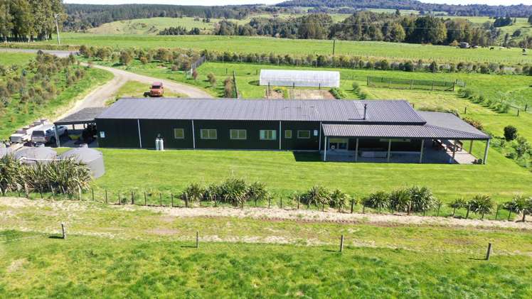 1961 Te Matai Road Te Puke_20