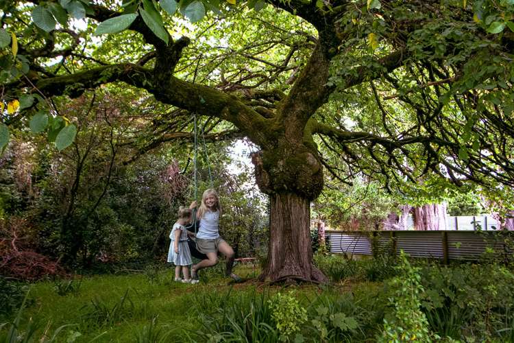 129 Heywood Street Grasmere_17