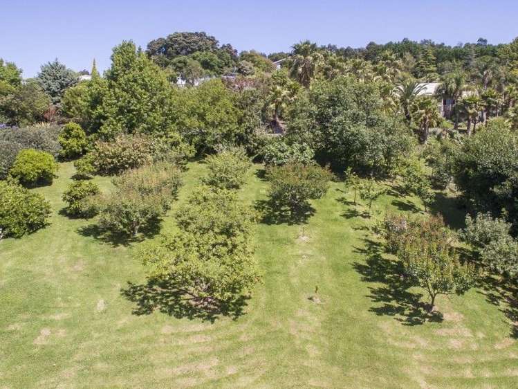 18 Sawmill Road Thames_18