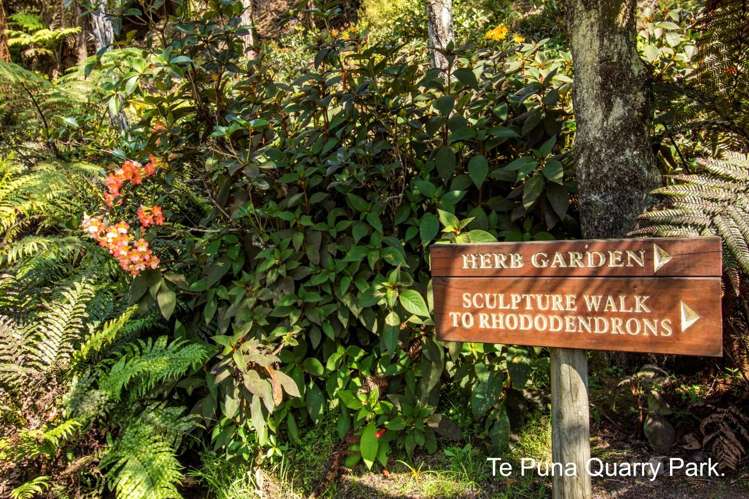 71 Te Puna Quarry Road Wairoa_9