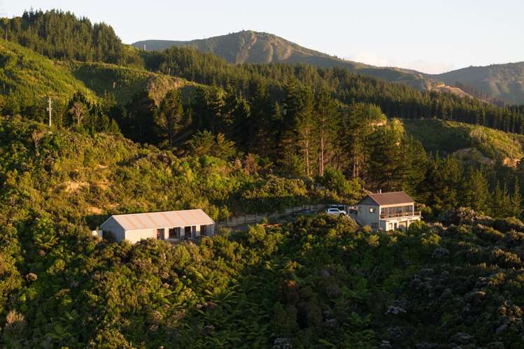 1786 Port Underwood Road Marlborough Sounds_23