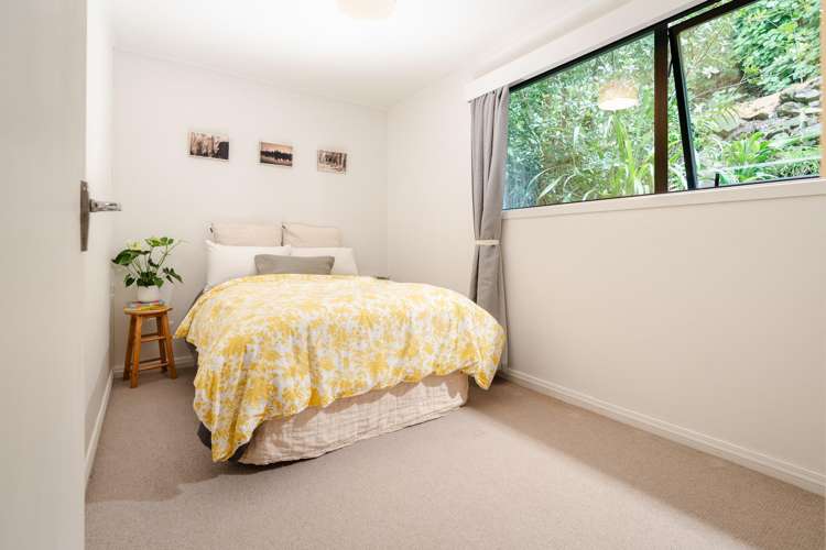 110B Grafton Road Roseneath_11