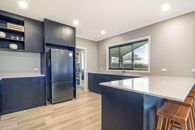 23a Edward Street Pahiatua_2