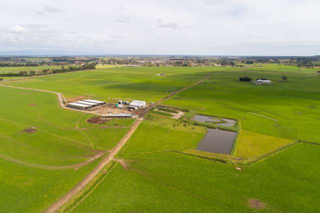 287 State Highway 1 Bulls_4