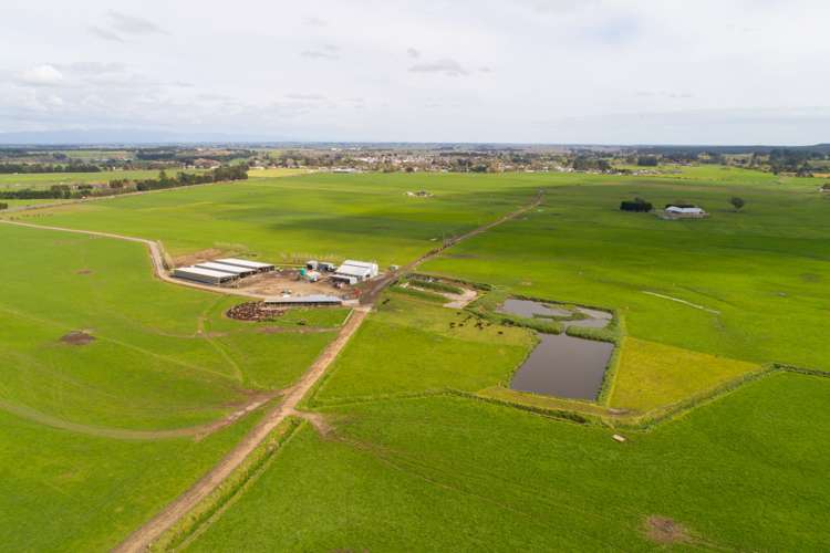 287 State Highway 1 Bulls_4