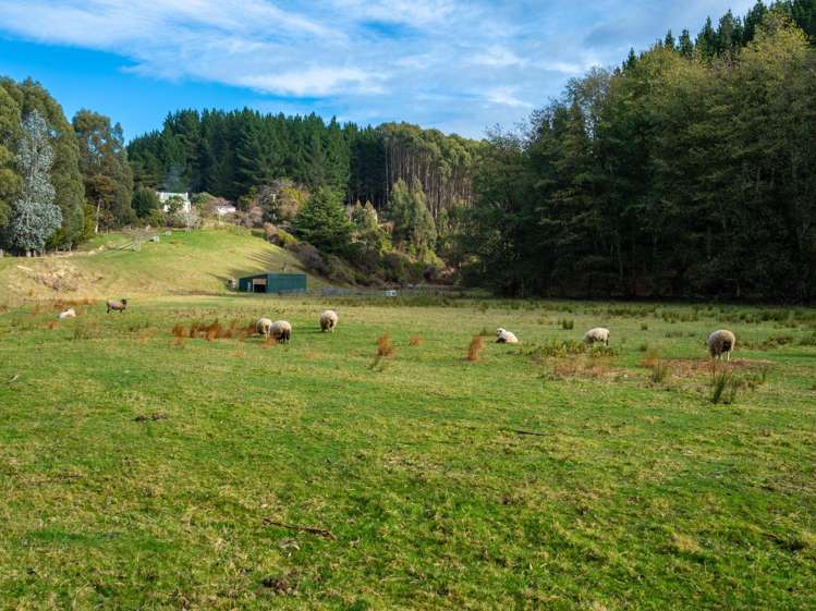 61 Coutts Gully Road Taieri Mouth_24