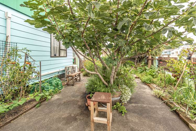 10 Tay Street Wanganui Central_20