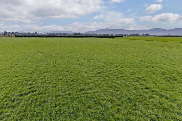 2330 Oxford Road Cust_3