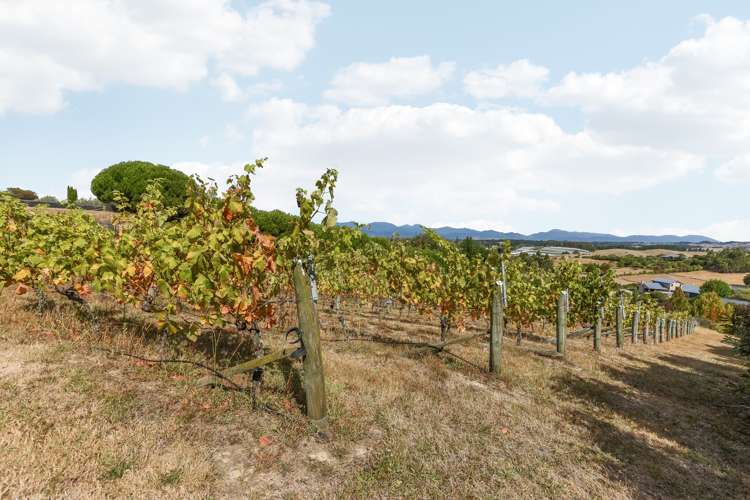 10 Dawson Road Upper Moutere_27