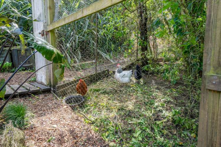 394 Huia Road Titirangi_25