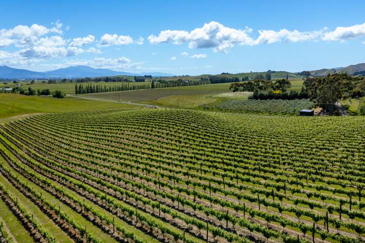 175 Wrekin Road Fairhall_20