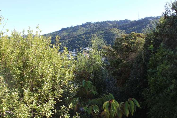 21 Imran Terrace Khandallah_5