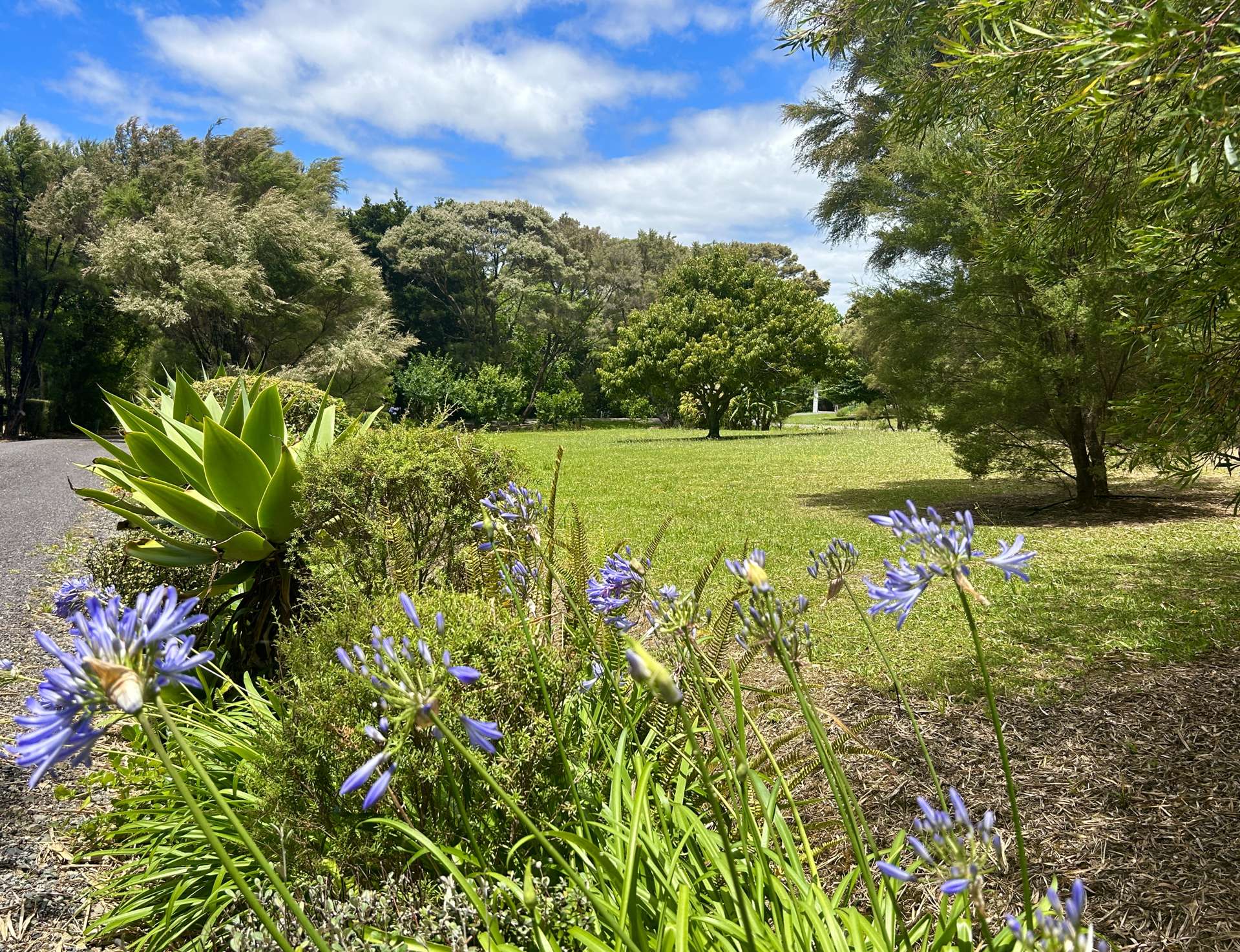 37A Kendall Road Kerikeri_0