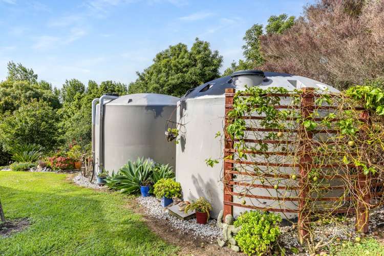 561 Settlement Road Kaiwaka_38