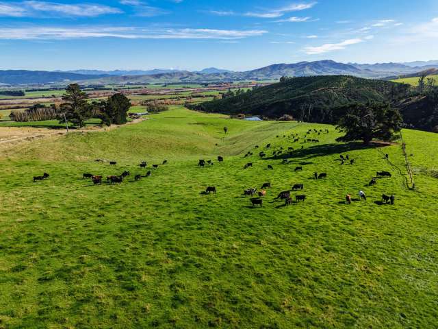 127 Bell Road Dipton_3